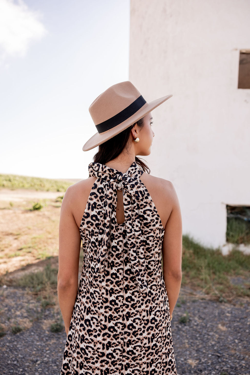 Purr-fect Halter